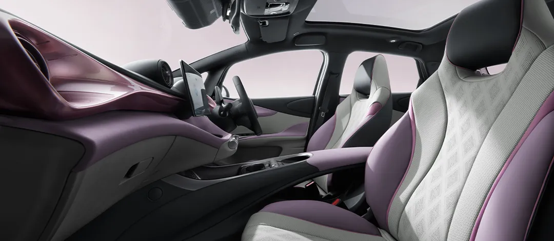 byd dolphin-interior (3)