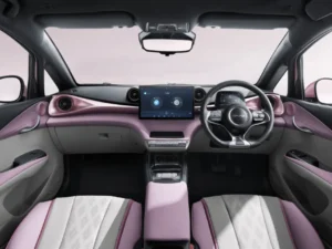 byd dolphin-interior