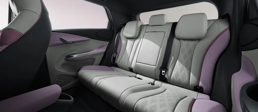 byd dolphin-interior (4)