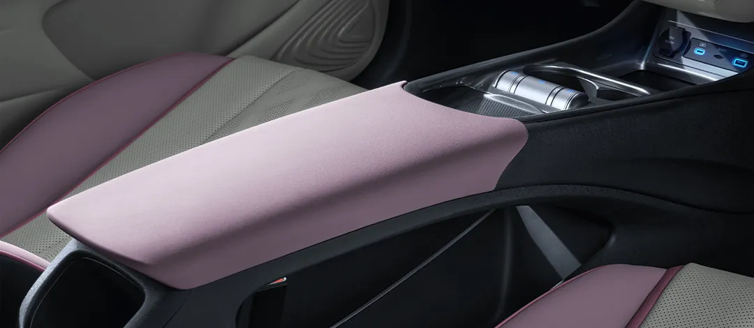 byd dolphin-interior (5)